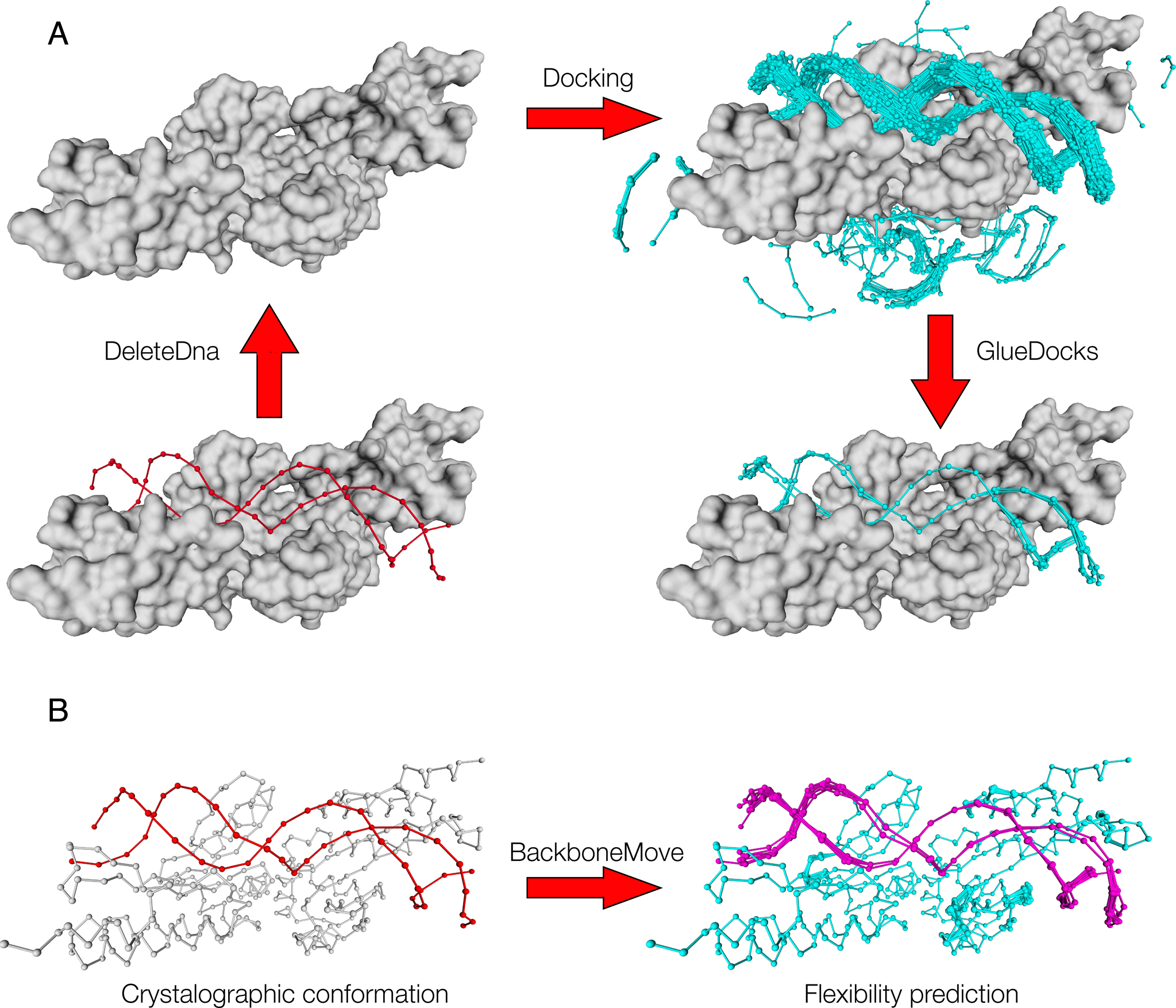 PADA1 predicts the DNA-binding regions of resolved protein structures